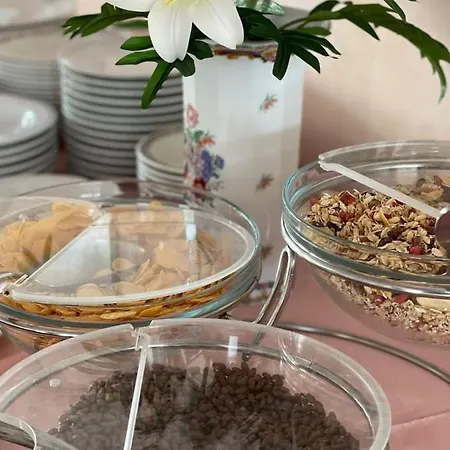 新蒂芙尼公园酒店 酒店 利多迪迪耶索洛